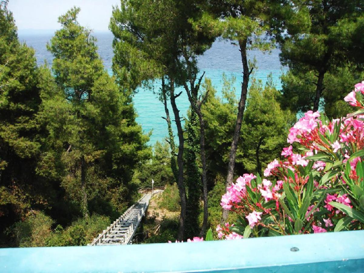 Porto Thea Alexandra Shared Pool Villa, Афітос Екстер'єр фото